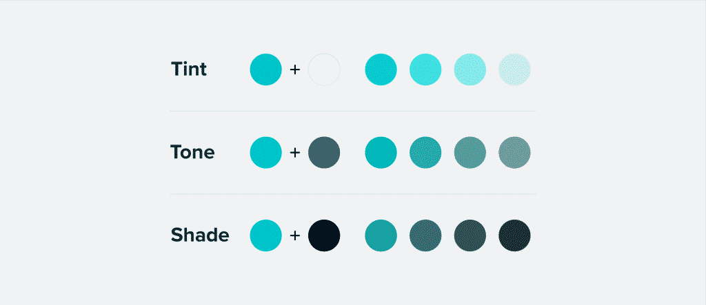 web design terms tint, tone, and shade comparison
