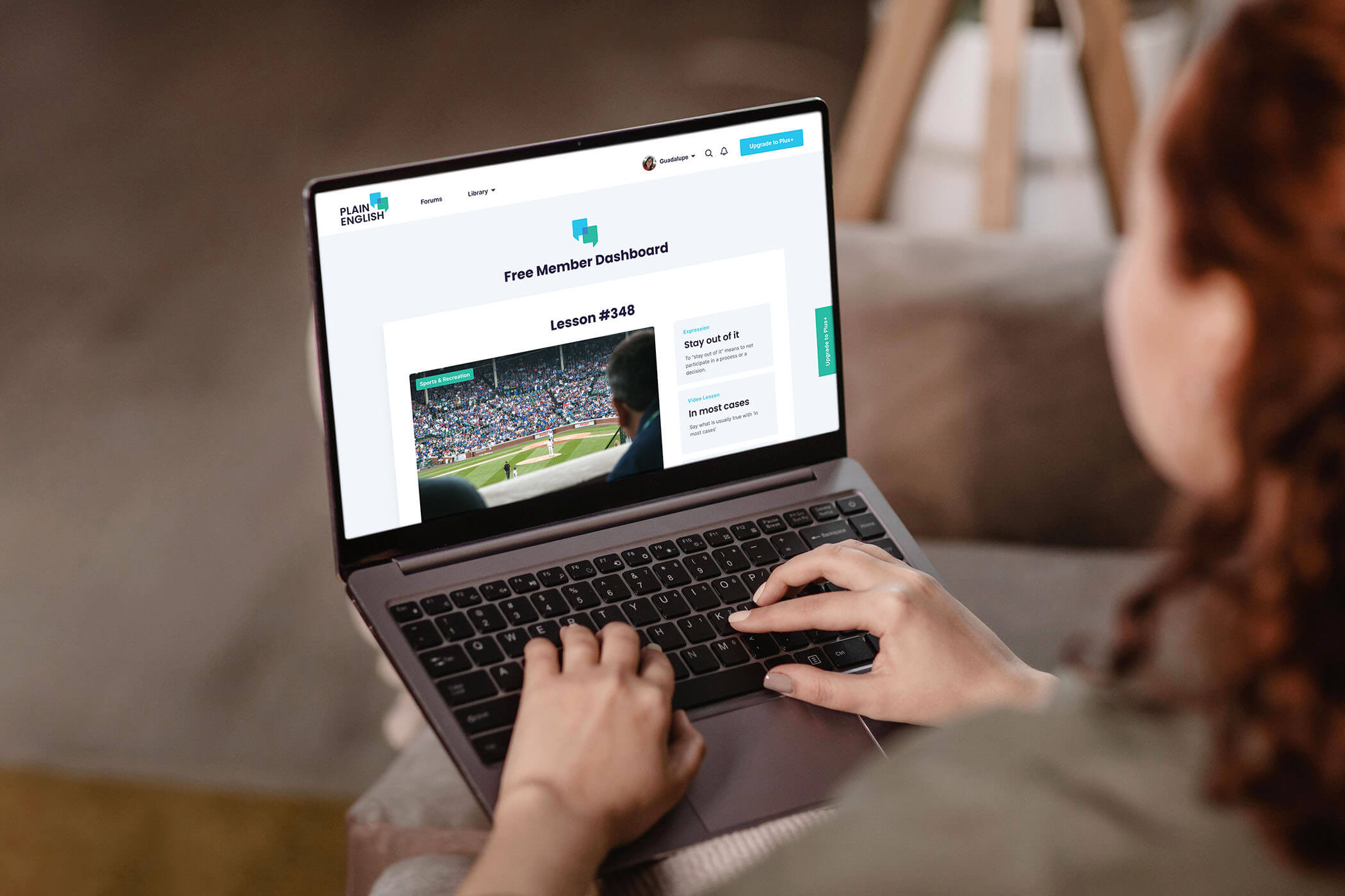 plain english dashboard